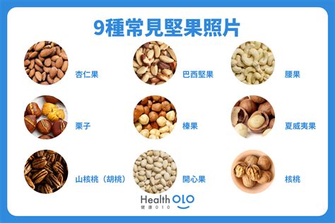 堅果屬性|堅果怎麼吃？詳解6大功效營養＋9種堅果特點好處！